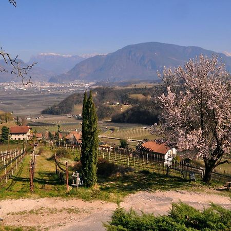 Firmelein Apartment Appiano Sulla Strada Del Vino Exterior foto